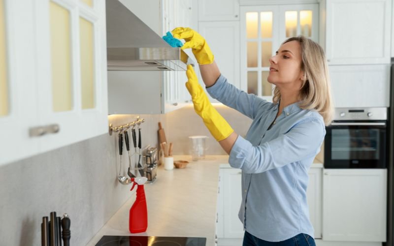 Limpeza e Cuidados com a Cozinha 6 Produtos de limpeza indicados para Limpeza e Cuidados com a Cozinha